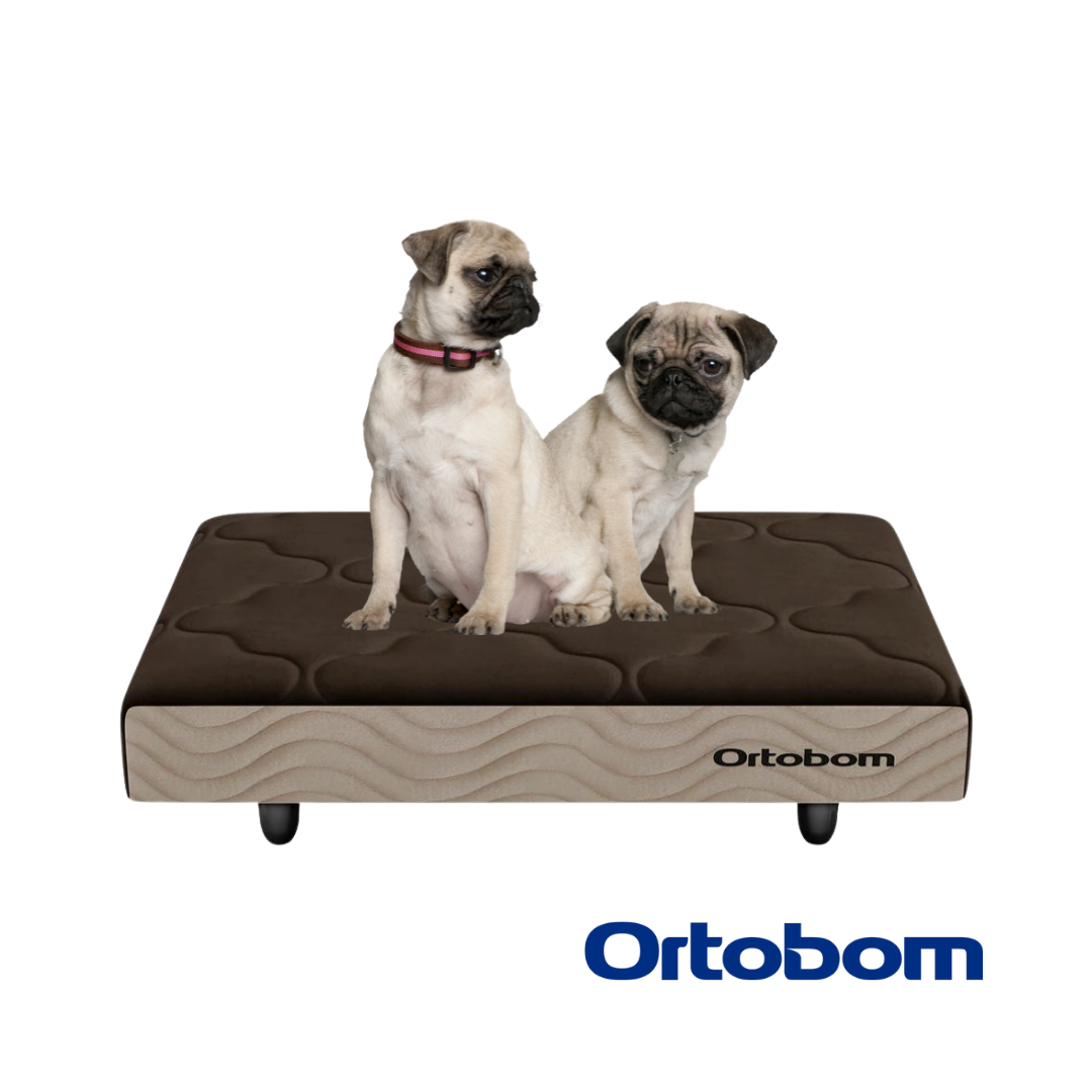 Cama Box Pet Cão E Gato Porte Medio 80x60x13cm Ortobom