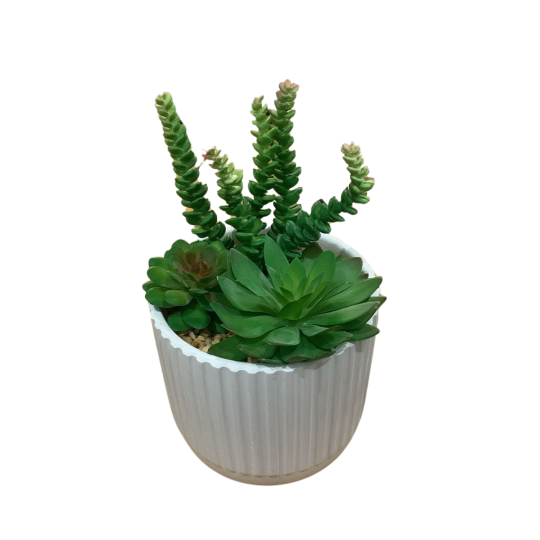 Suculenta Artificial Vaso Decorativo 23cm Gesso Branco