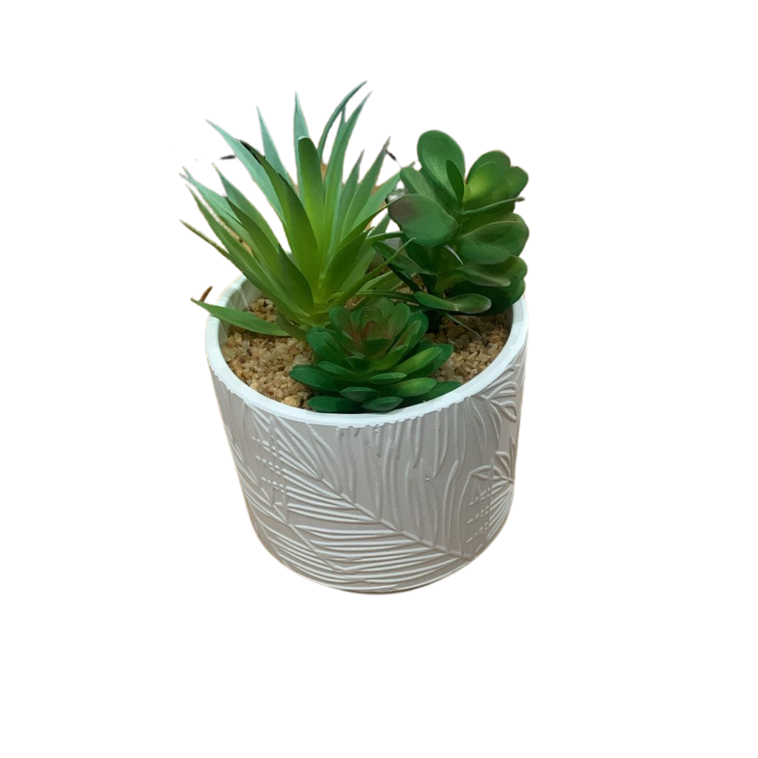Suculenta Artificial Vaso Decorativo 23cm Gesso Branco