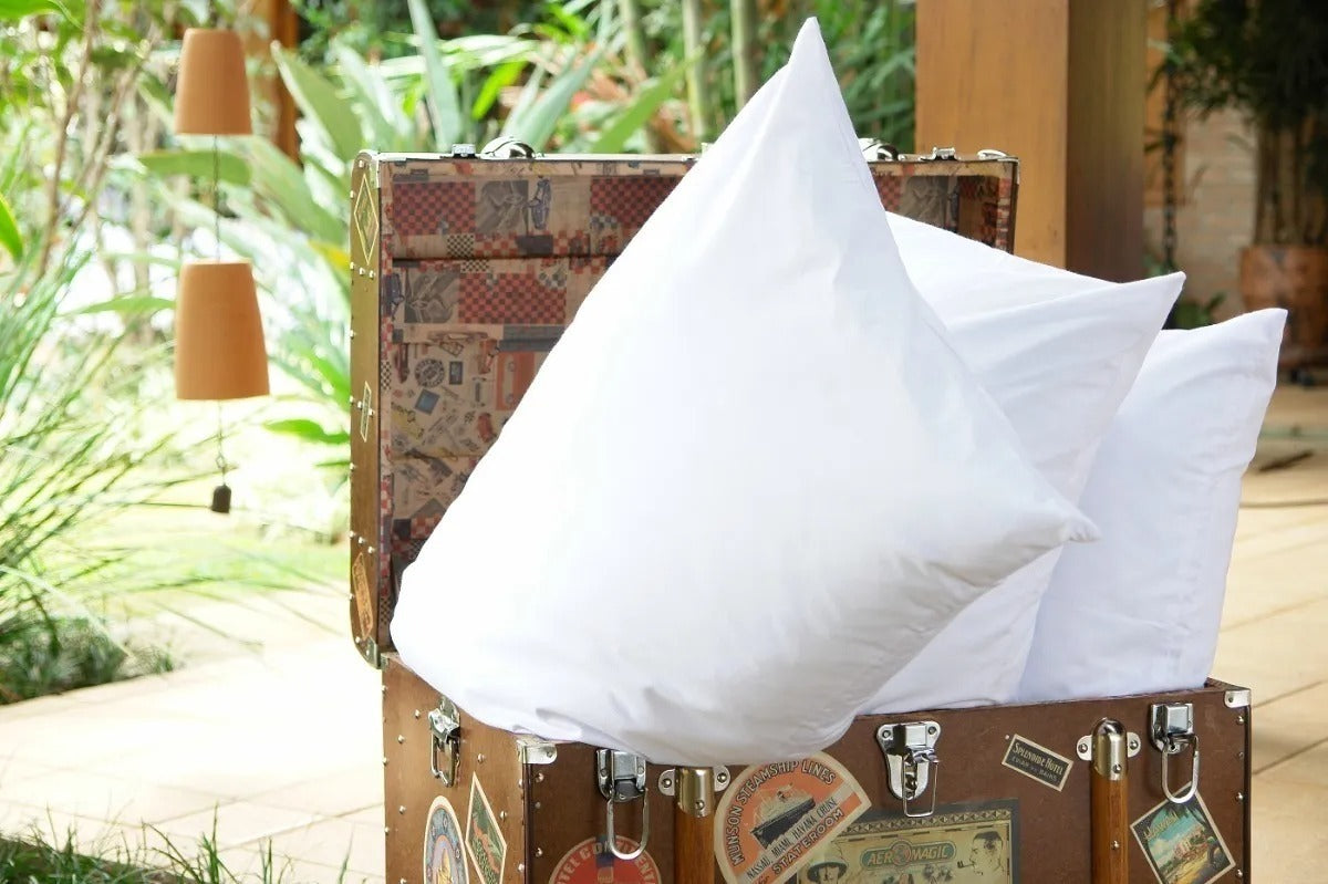 Travesseiro Daune 100% Plumas De Ganso Tradicional 70cm Cor Branco