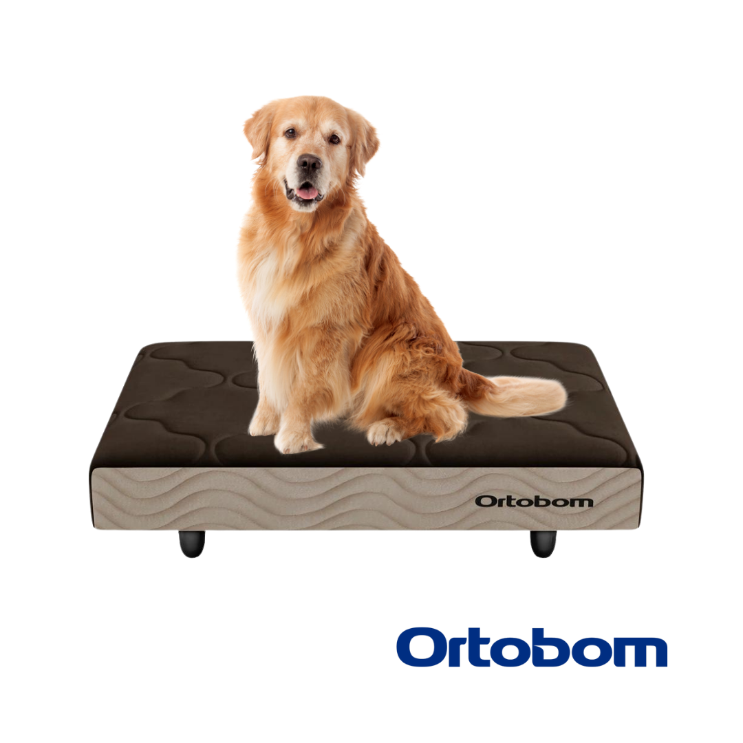 Cama Box Pet Cachorro Gato Caminha Porte Grande 100x80x13cm
