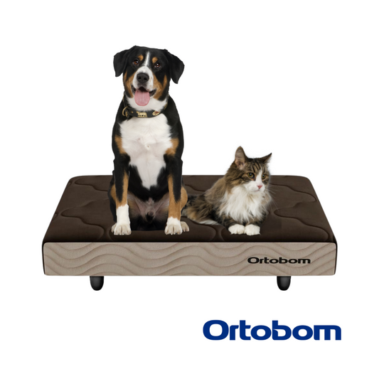 Cama Box Pet Cachorro Gato Caminha Porte Grande 100x80x13cm