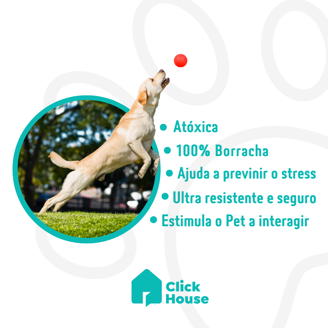 Bola Pet Maciça Cachorro Médio Grande Porte Pula Anti Stress