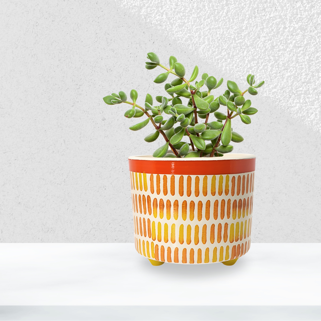 Vaso De Plantas Flores Redondo Decorativo Arranjo Sala 1,3l