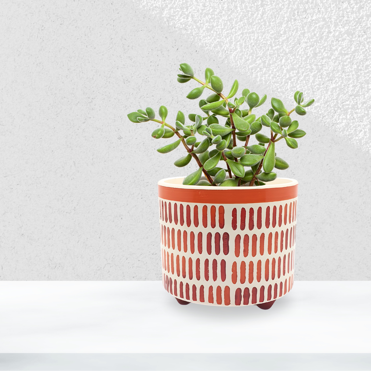 Vaso De Plantas Flores Redondo Decorativo Arranjo Sala 1,3l